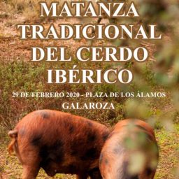 MATANZA TRADICIONAL DEL CERDO IBÉRICO. Exhibición, guisos, embutidos, degustaciones...