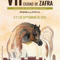 CAMPEONATO CIUDAD DE ZAFRA. Caballos Pura Raza Árabe 2025