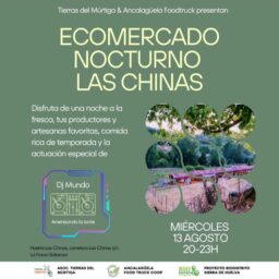 Ecomercado Nocturno de Las Chinas
