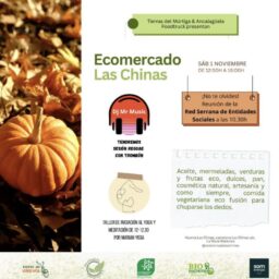 ECOMERCADO LAS CHINAS. Yoga, meditación, alimentos ecológicos... + Henry DJ